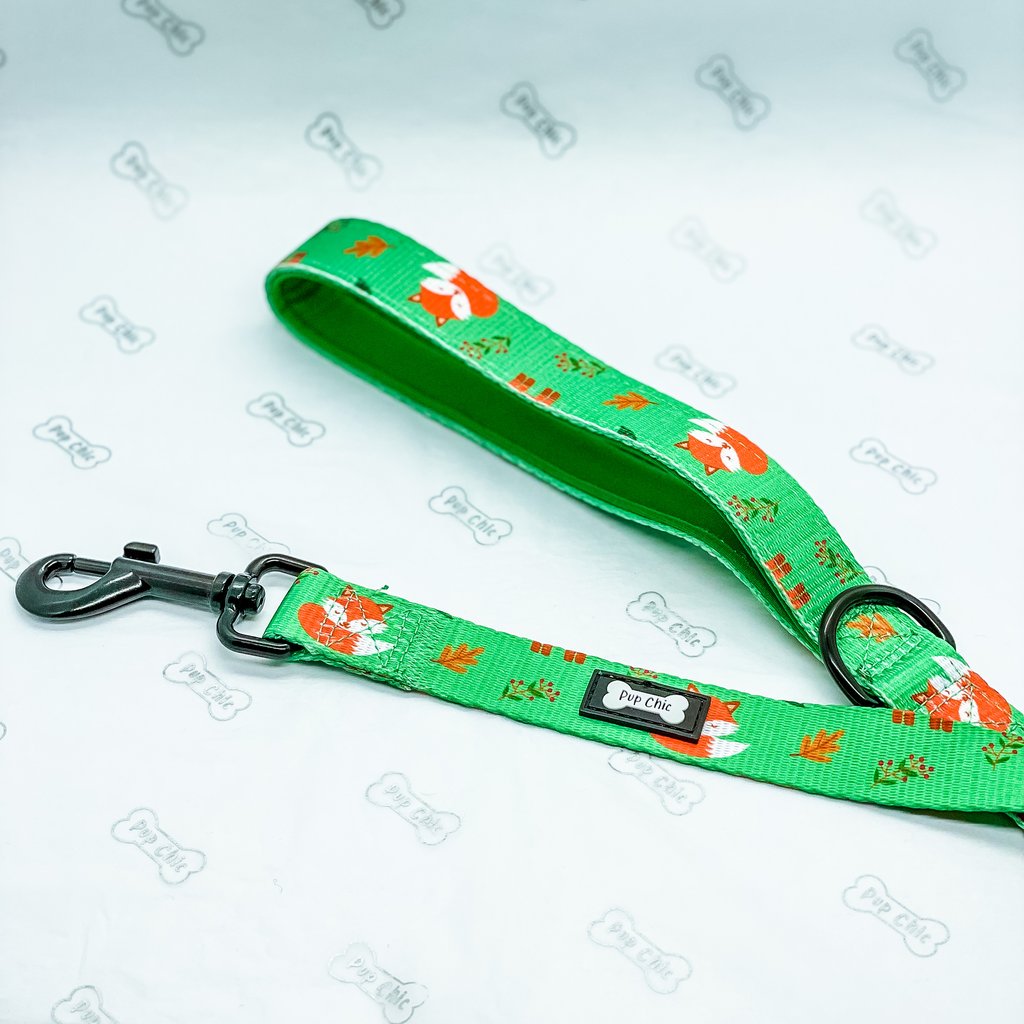 Inquisitive Fox Leash